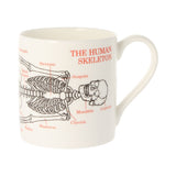 Human Skeleton Bone China Mug