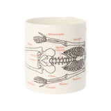 Human Skeleton Bone China Mug