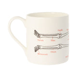 Human Skeleton Bone China Mug