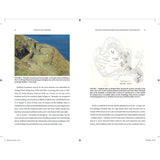 Tyrants and Traders: Tintagel, Arthur and the Lost Kings (Hardback) - Ken Dark